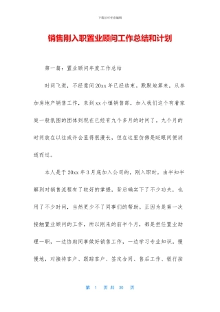 销售刚入职置业顾问工作总结和计划