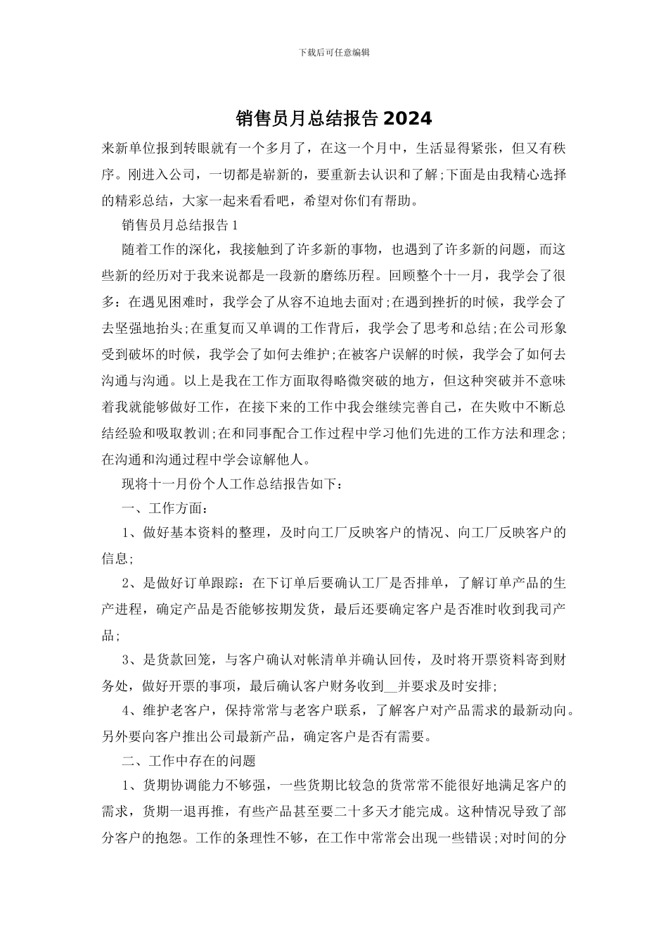 销售员月总结报告2024_第1页