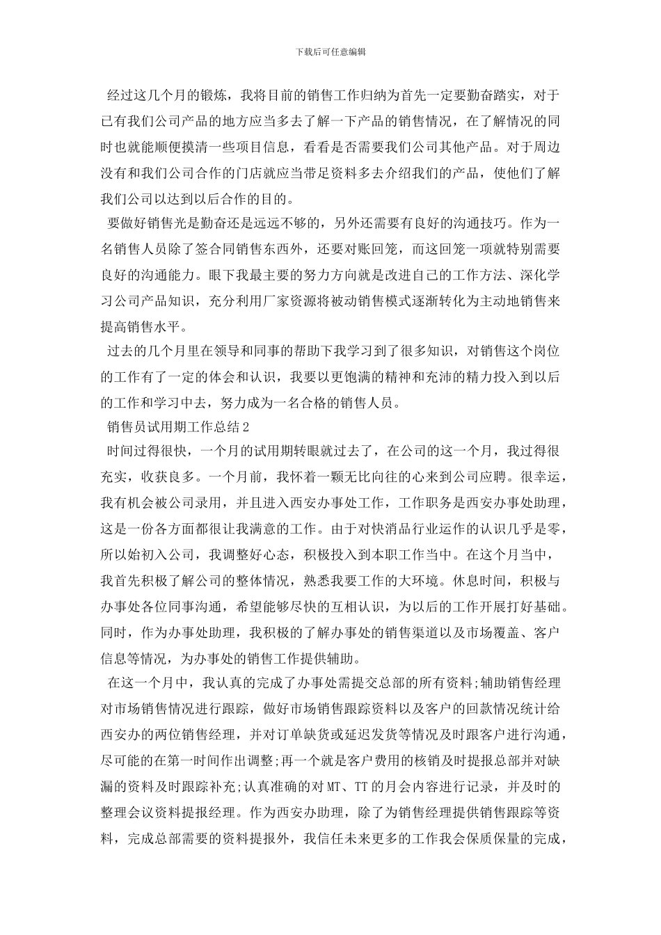 销售员试用期个人工作总结范文5篇_第2页