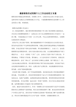 销售员试用期个人工作总结范文5篇
