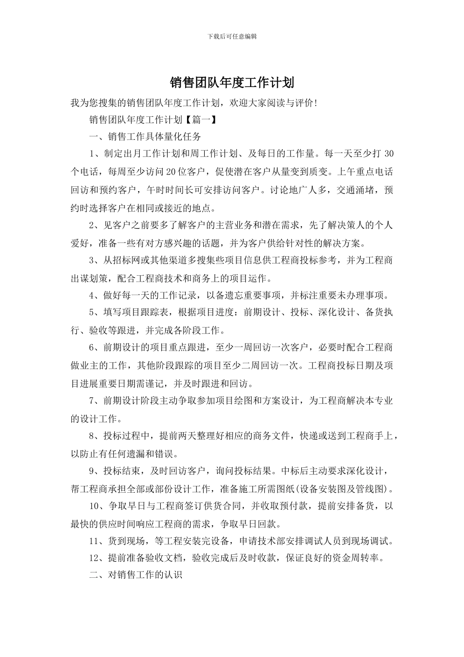 销售团队年度工作计划_第1页