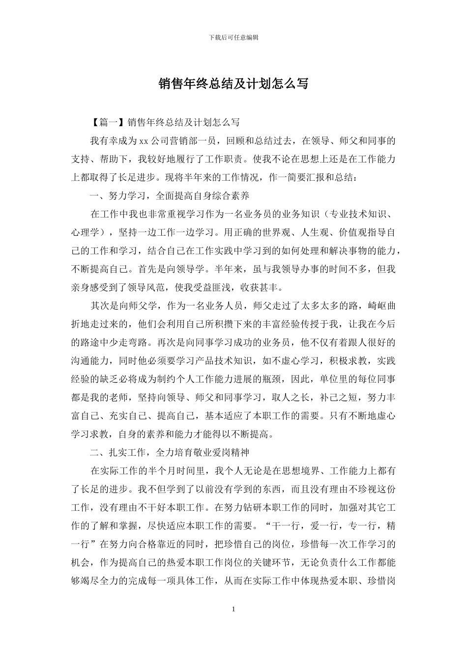 销售年终总结及计划怎么写_第1页
