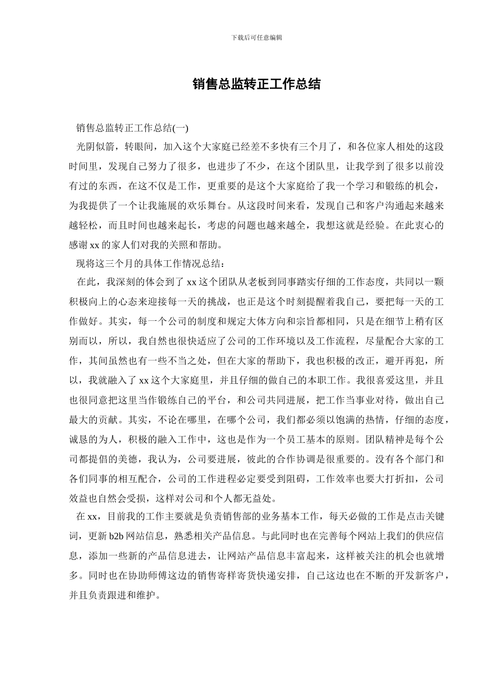 销售总监转正工作总结_第1页