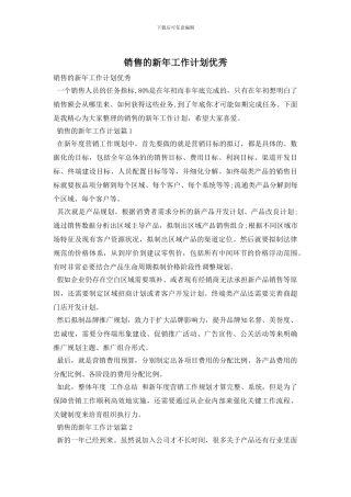 销售的新年工作计划优秀