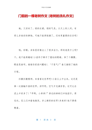 门前的一棵老树作文