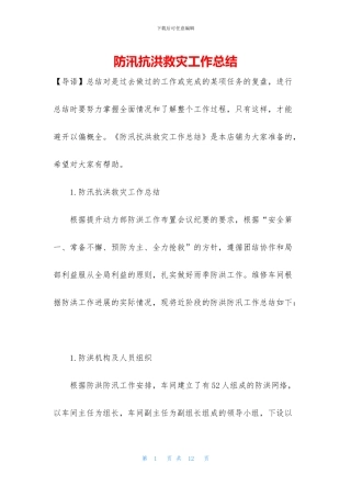 防汛抗洪救灾工作总结