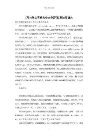 阿拉斯加雪橇犬