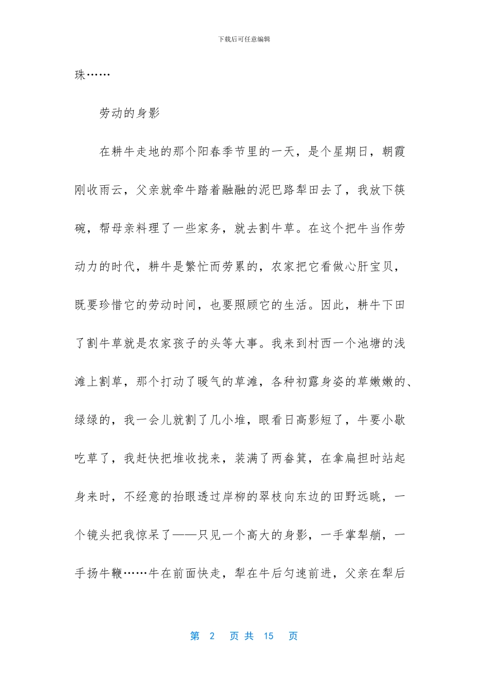 难忘父亲的身影散文_第2页
