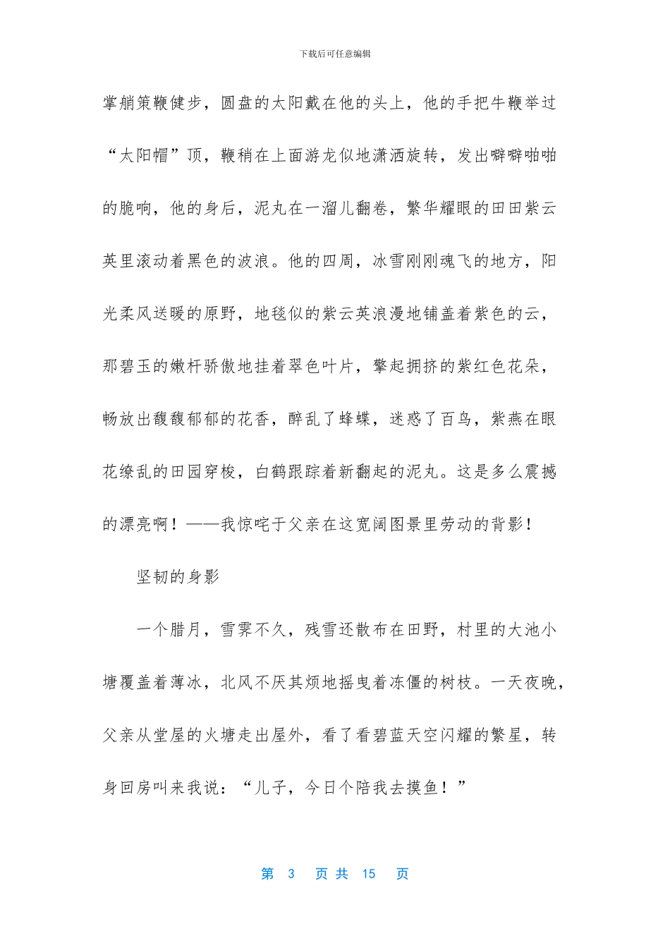 难忘父亲的身影散文_第3页