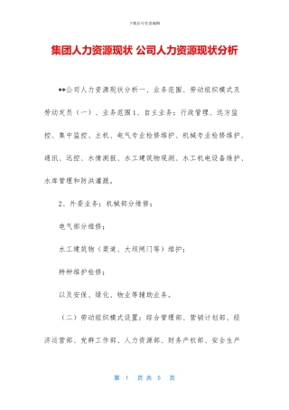 集团人力资源现状