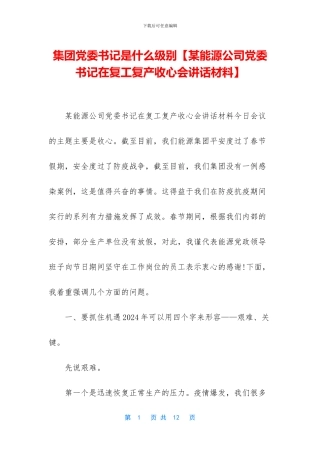 集团党委书记是什么级别