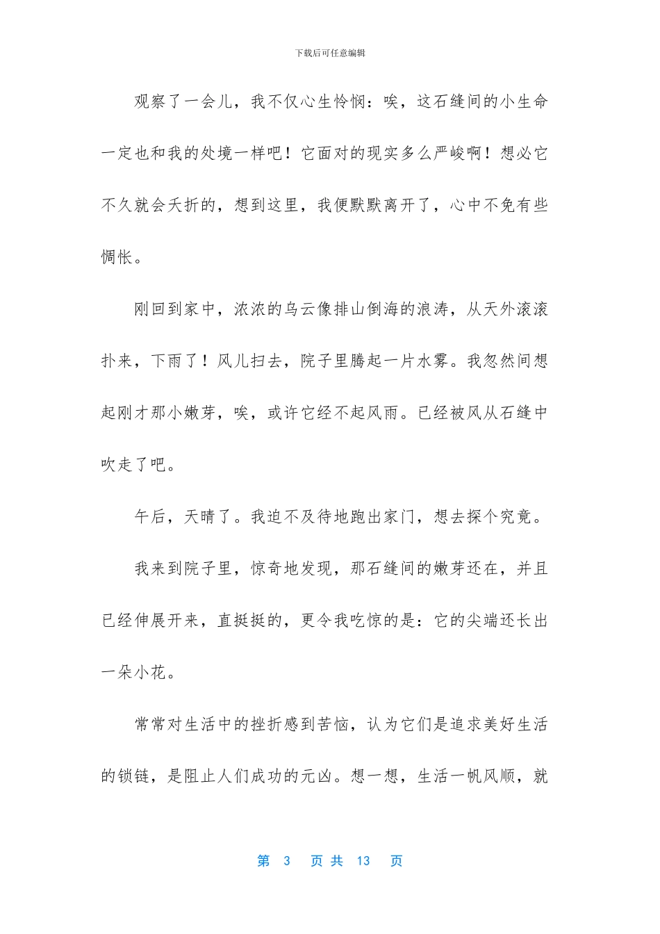 雨后的彩虹作文_第3页