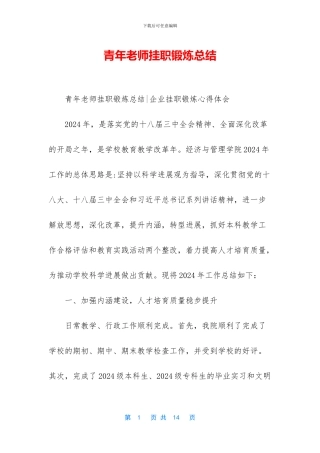 青年教师挂职锻炼总结
