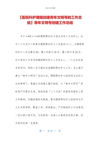 青年文明号创建工作总结