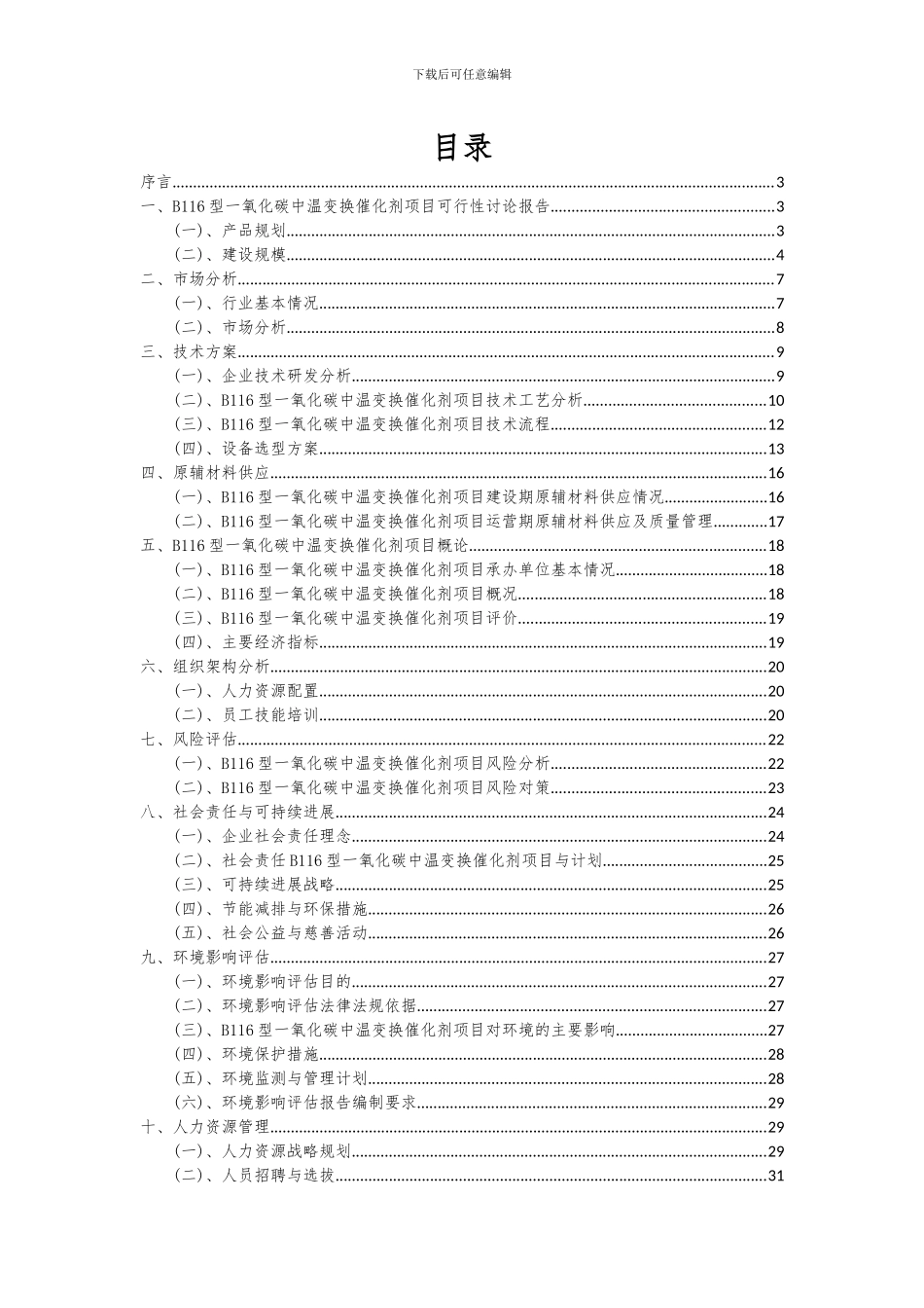 2024年B116型一氧化碳中温变换催化剂项目可行性研究报告_第2页
