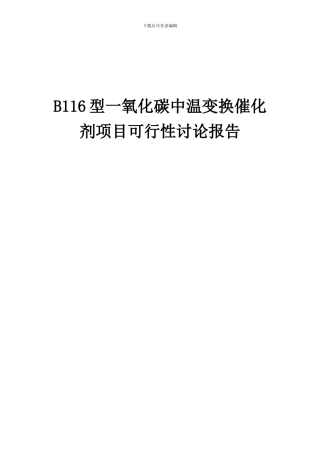 2024年B116型一氧化碳中温变换催化剂项目可行性研究报告