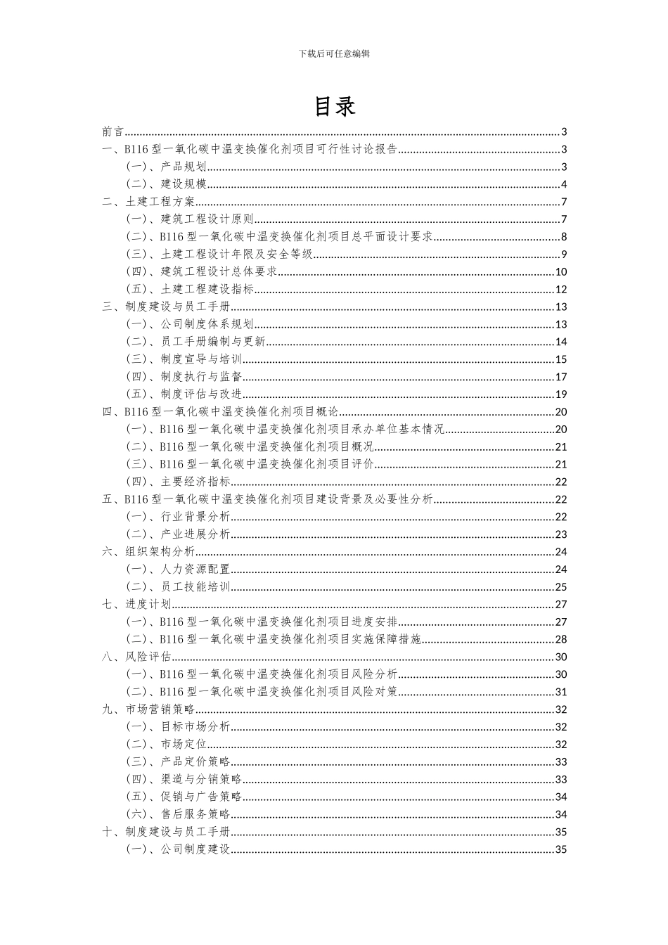 2024年B116型一氧化碳中温变换催化剂项目深度研究分析报告_第2页