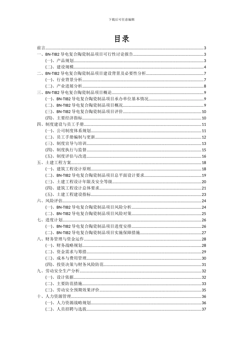 2024年BN-TIB2导电复合陶瓷制品项目可行性分析报告_第2页