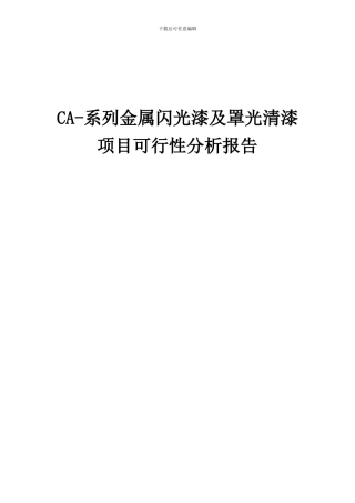 2024年CA-系列金属闪光漆及罩光清漆项目可行性分析报告