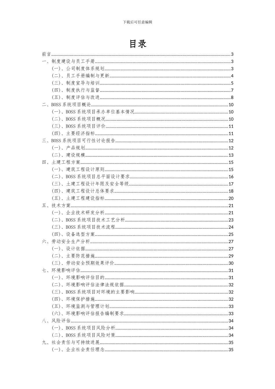 2024年BOSS系统项目投资分析及可行性报告_第2页
