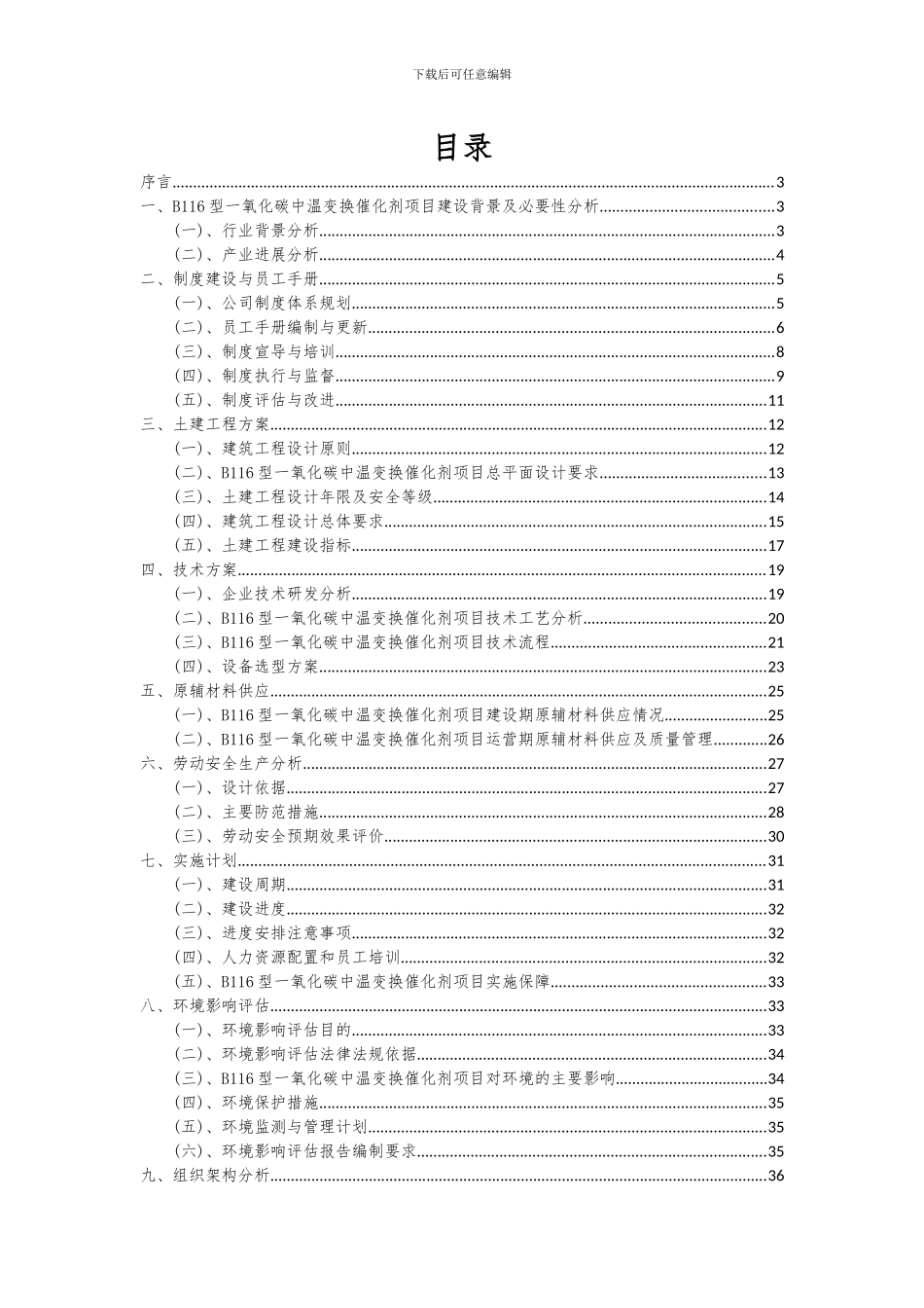 2024年B116型一氧化碳中温变换催化剂项目投资分析及可行性报告_第2页