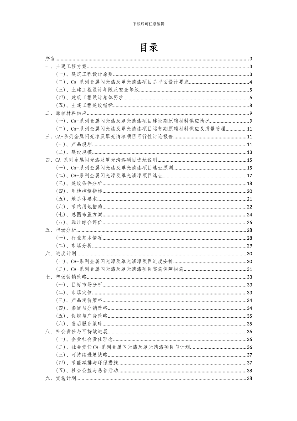 2024年CA-系列金属闪光漆及罩光清漆项目投资分析及可行性报告_第2页