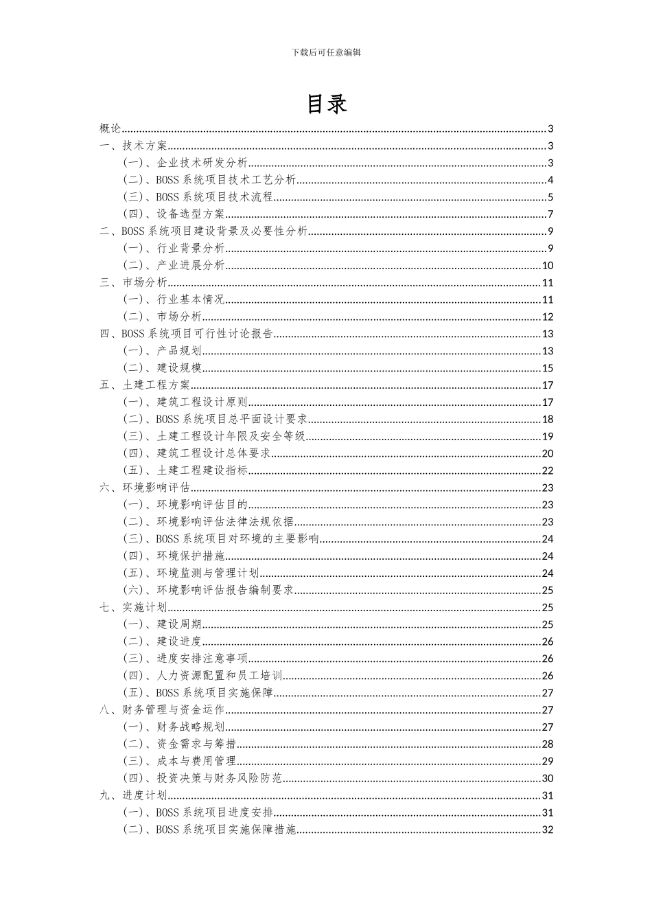 2024年BOSS系统项目可行性研究报告_第2页