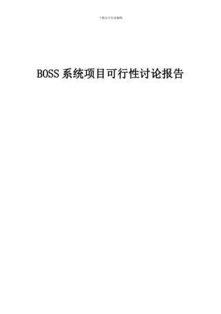 2024年BOSS系统项目可行性研究报告