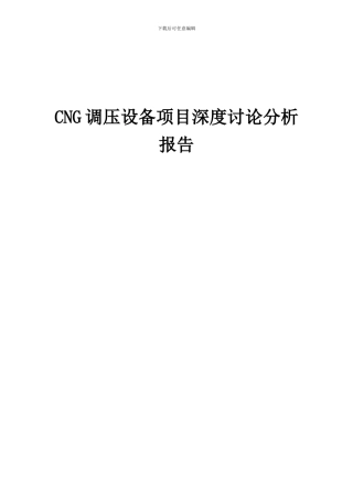2024年CNG调压设备项目深度研究分析报告