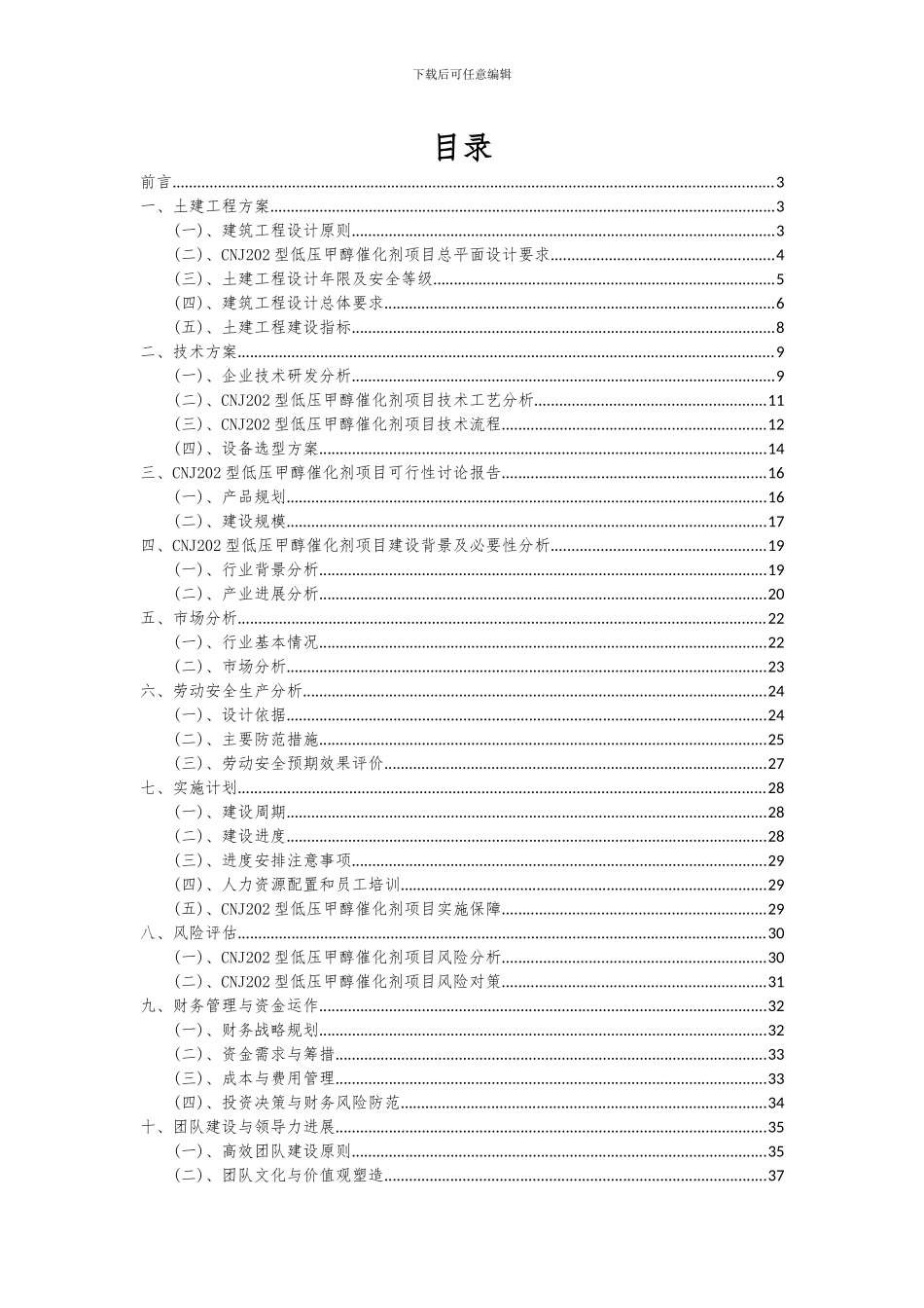 2024年CNJ202型低压甲醇催化剂项目可行性研究报告_第2页