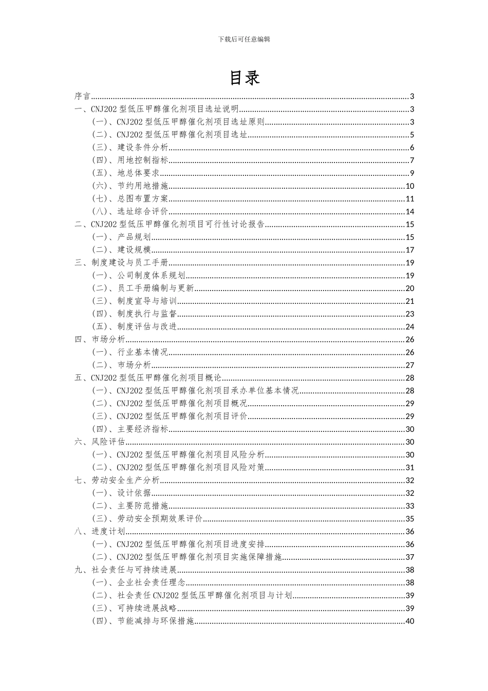 2024年CNJ202型低压甲醇催化剂项目投资分析及可行性报告_第2页