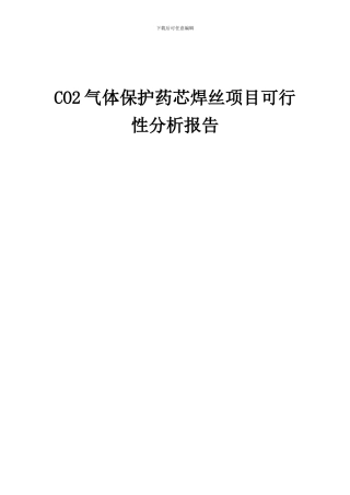2024年CO2气体保护药芯焊丝项目可行性分析报告