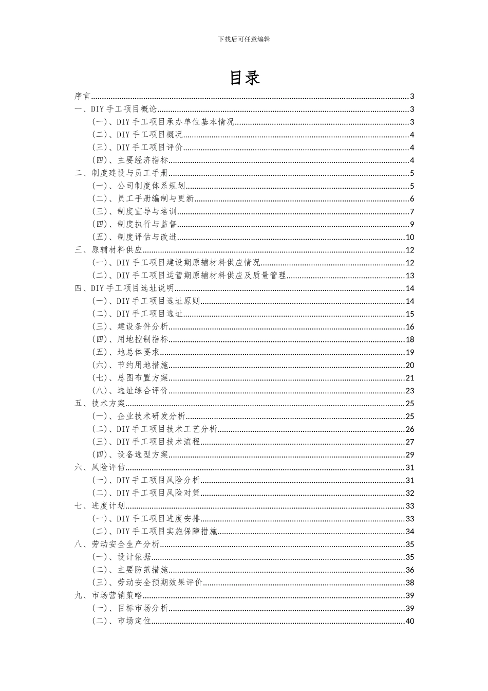 2024年DIY手工项目深度研究分析报告_第2页