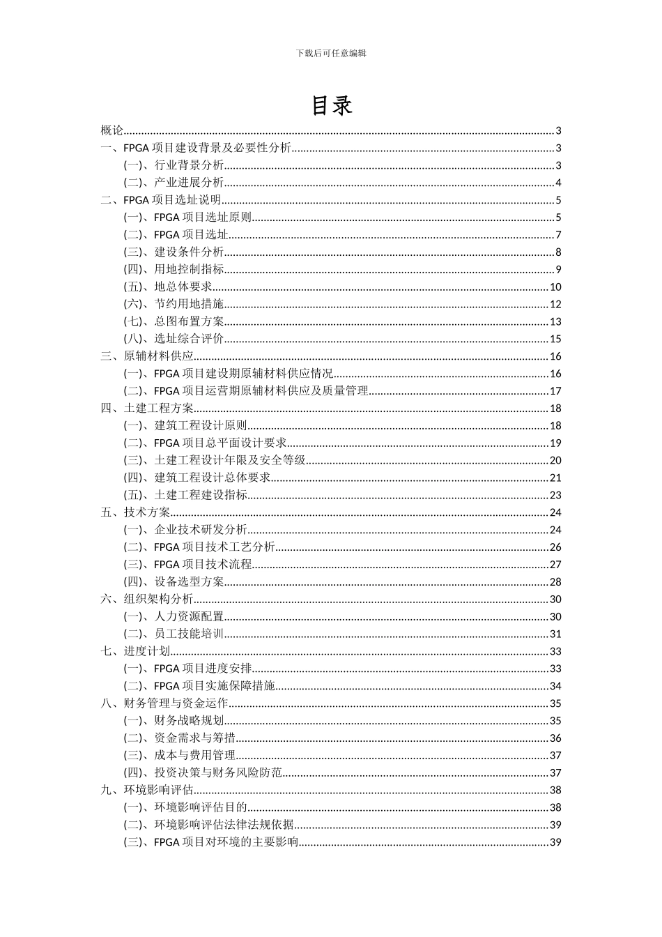 2024年FPGA项目可行性研究报告_第2页