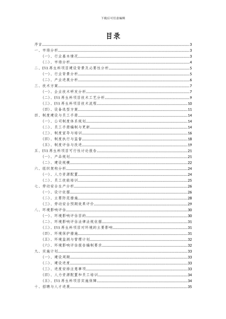 2024年EVA再生料项目深度研究分析报告_第2页