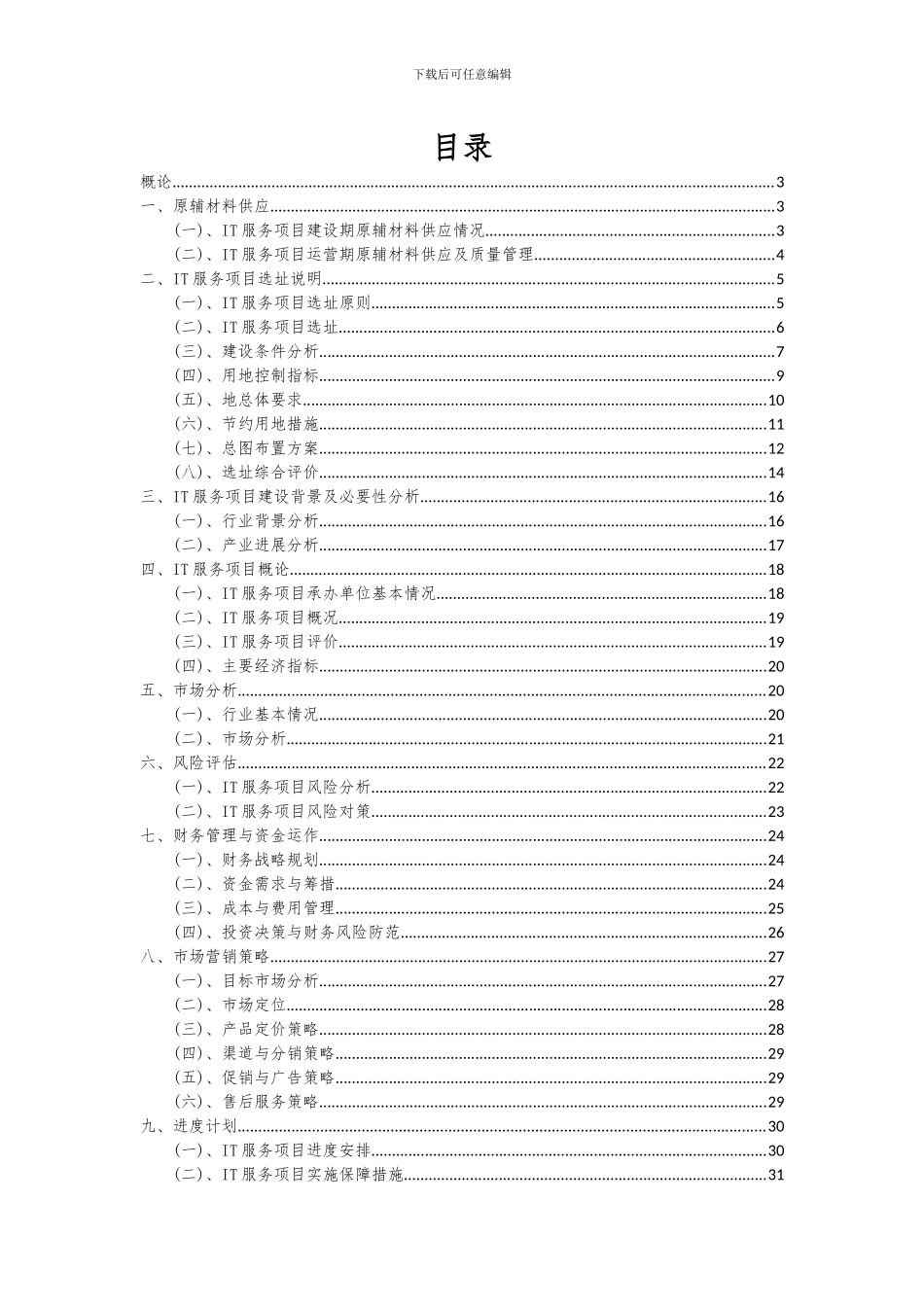 2024年IT服务项目可行性研究报告_第2页