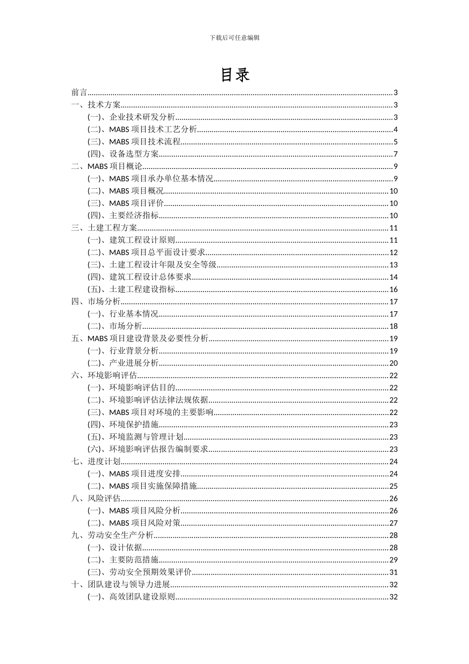 2024年MABS项目深度研究分析报告_第2页
