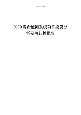 2024年OLED寿命检测系统项目投资分析及可行性报告