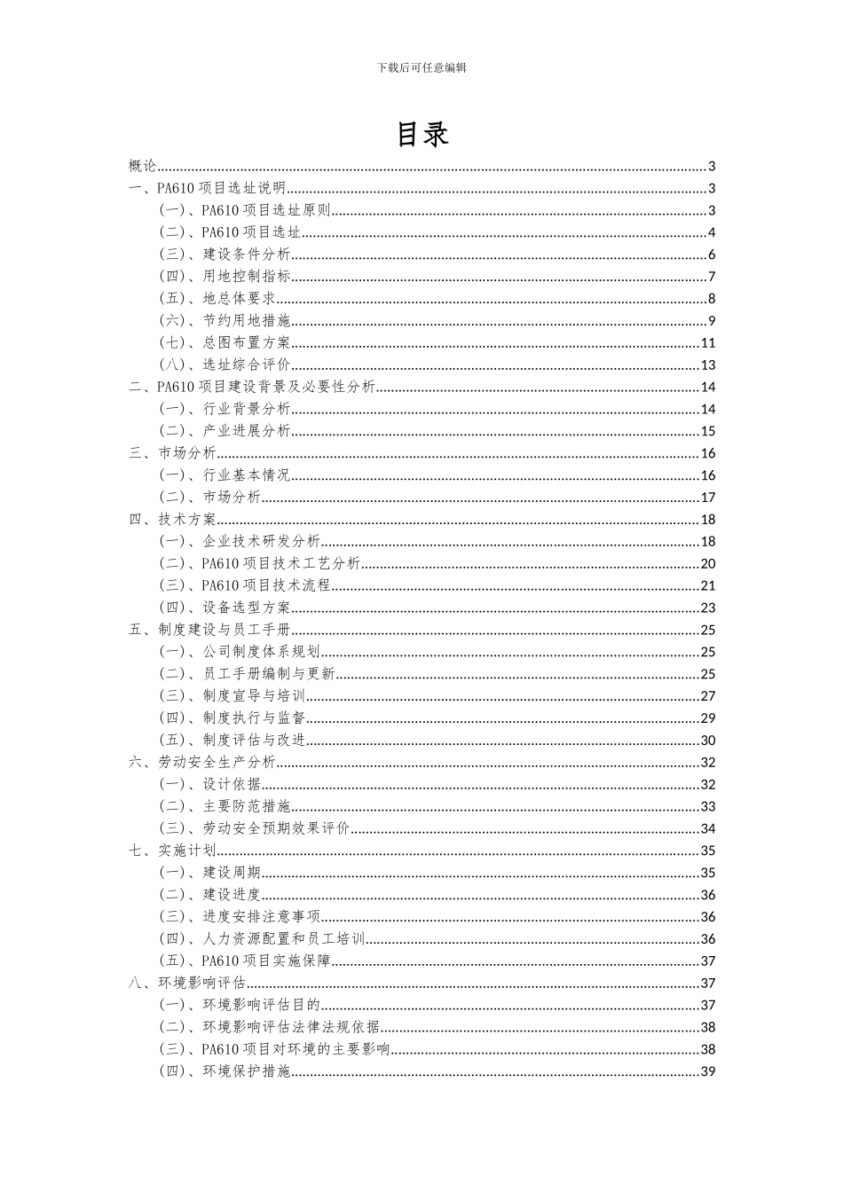 2024年PA610项目可行性分析报告_第2页