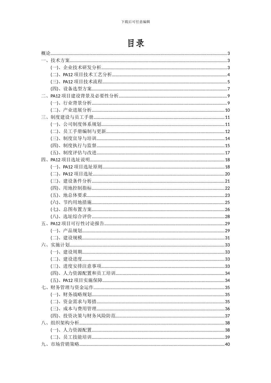 2024年PA12项目深度研究分析报告_第2页