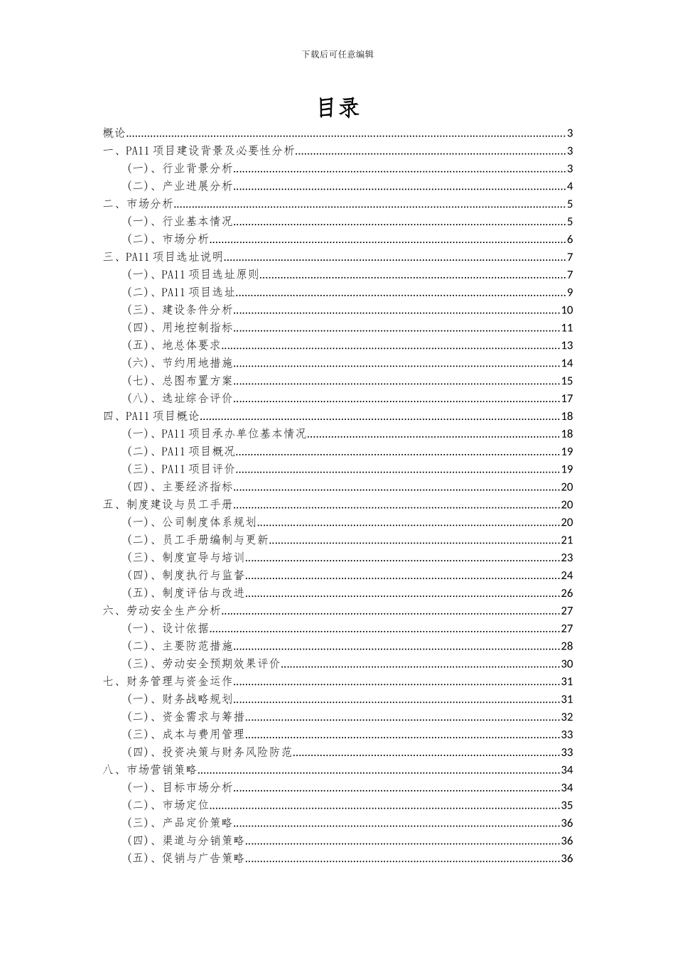 2024年PA11项目深度研究分析报告_第2页
