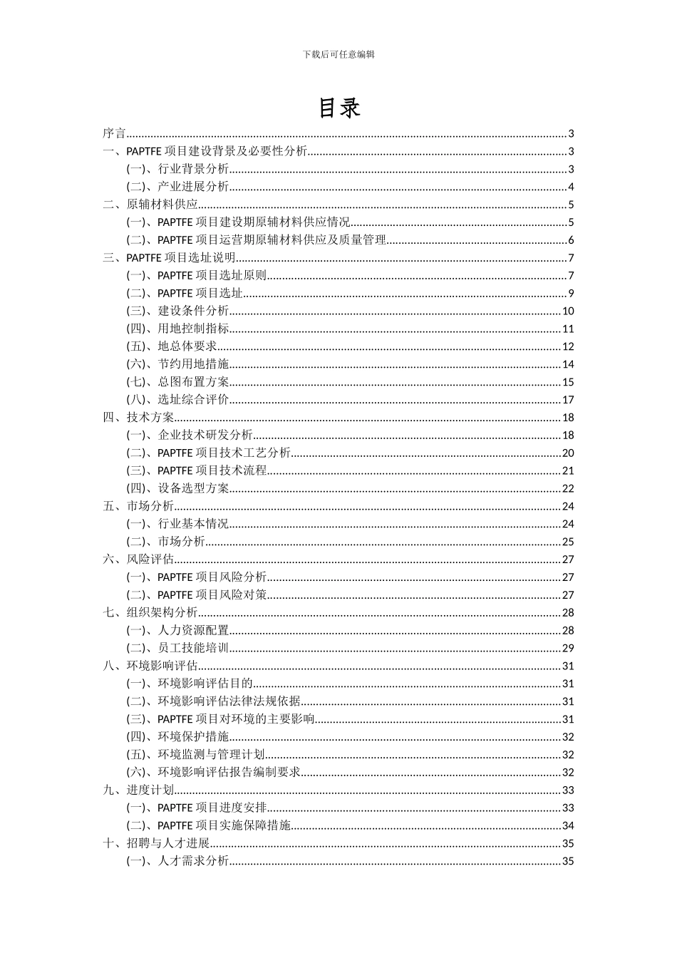 2024年PAPTFE项目投资分析及可行性报告_第2页