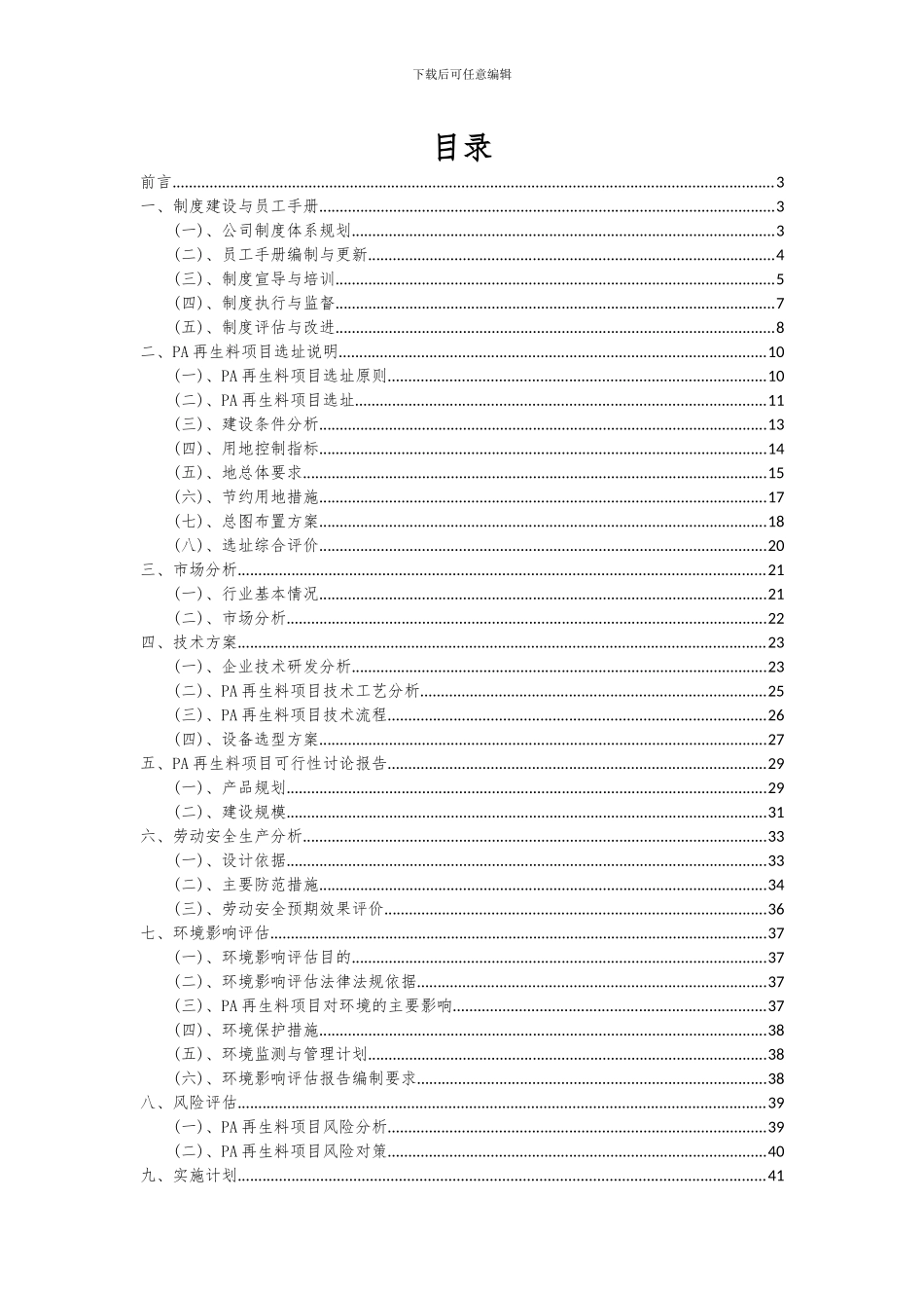 2024年PA再生料项目可行性研究报告_第2页
