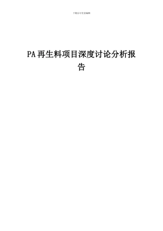 2024年PA再生料项目深度研究分析报告