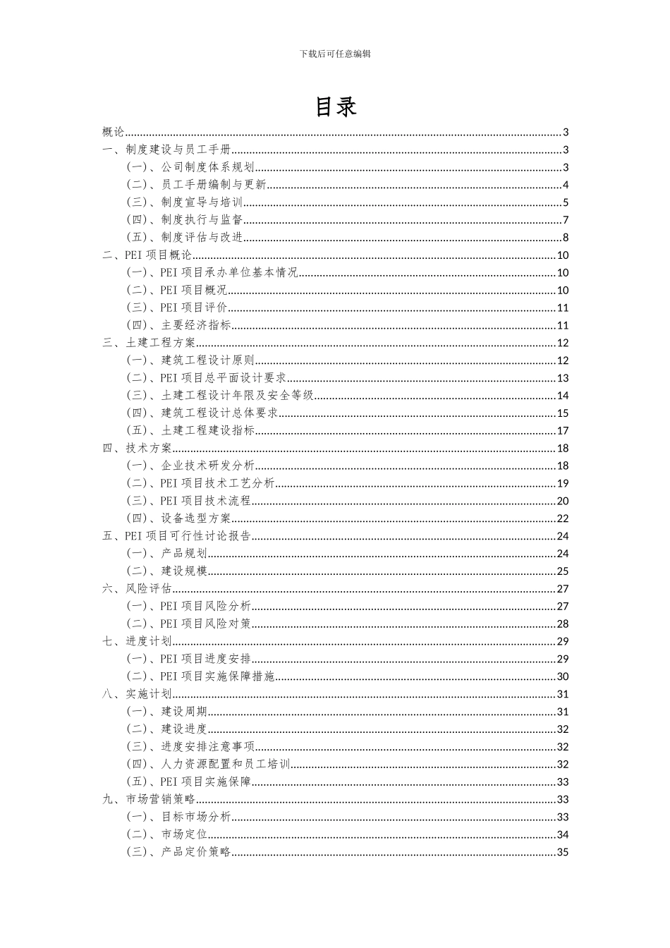 2024年PEI项目可行性研究报告_第2页