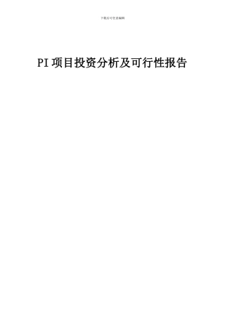 2024年PI项目投资分析及可行性报告
