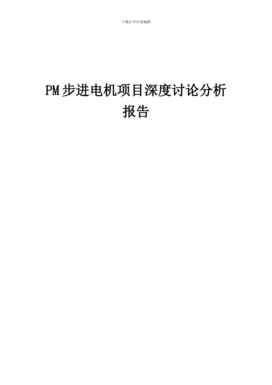 2024年PM步进电机项目深度研究分析报告_第1页