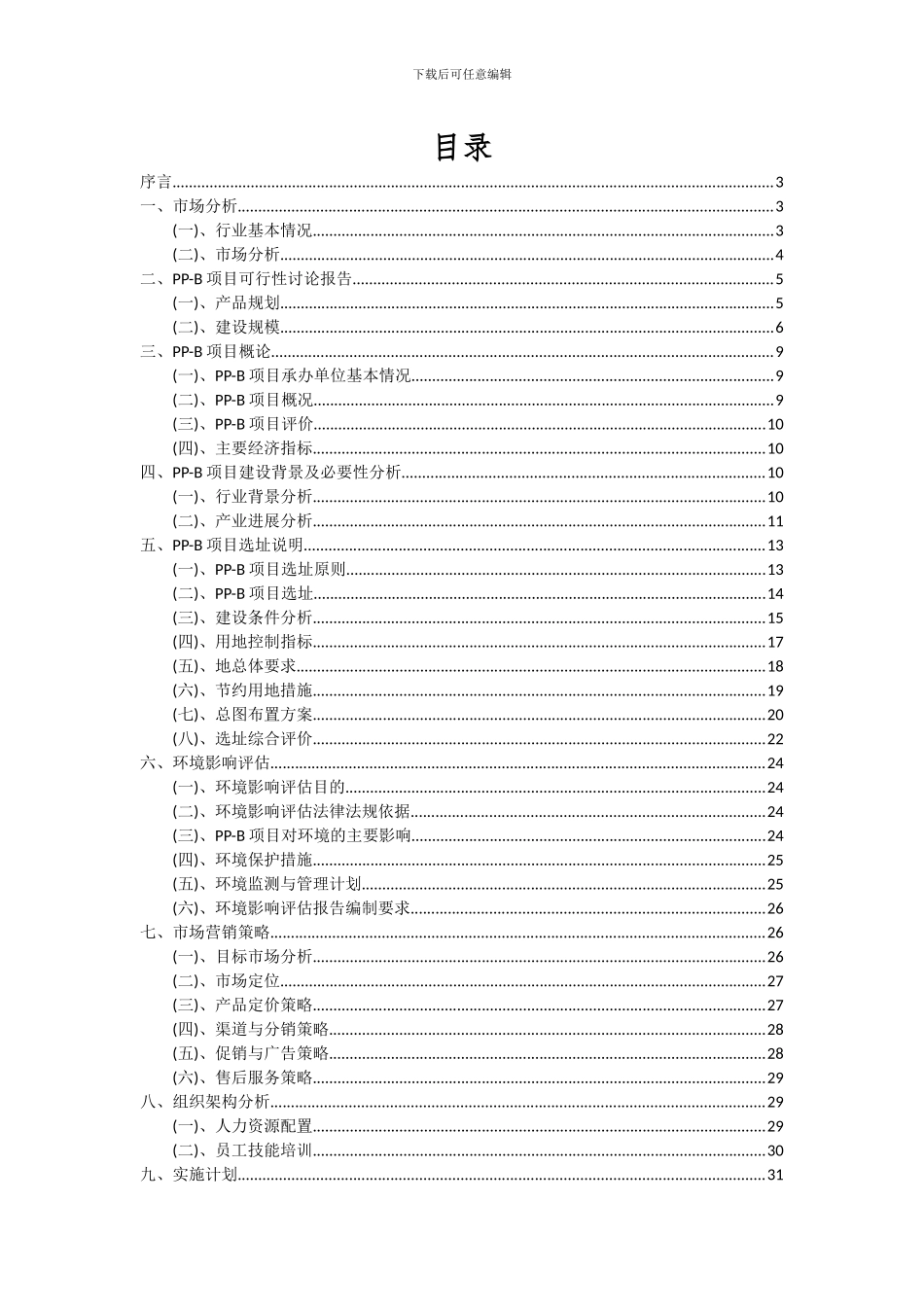 2024年PP-B项目可行性研究报告_第2页