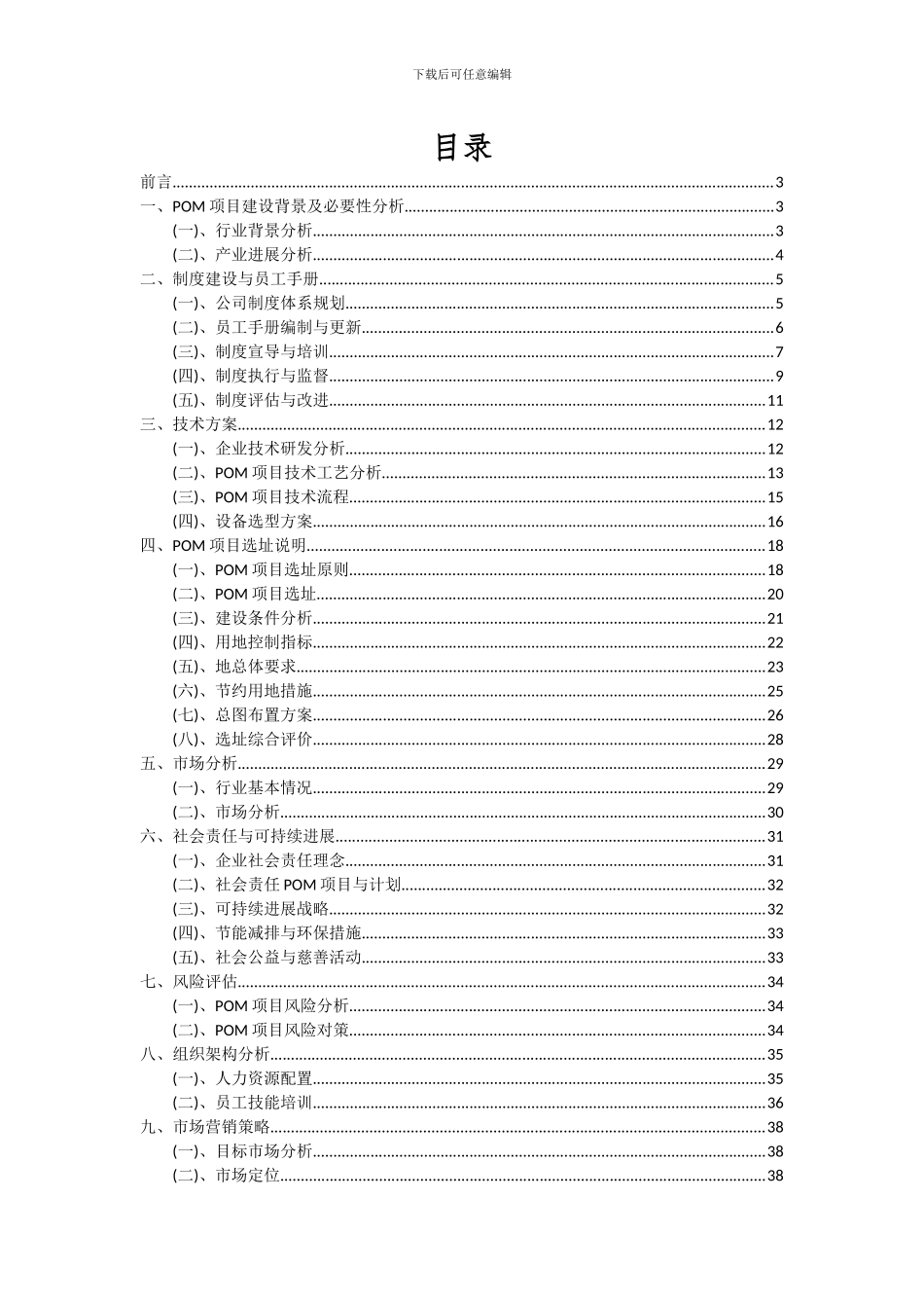 2024年POM项目投资分析及可行性报告_第2页