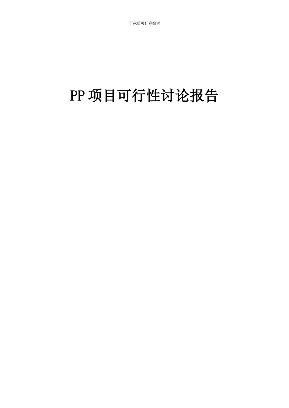 2024年PP项目可行性研究报告_第1页
